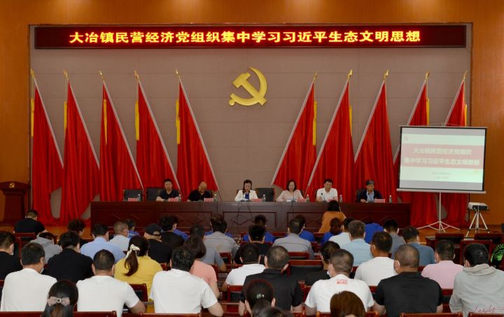 学党史 强党建 促发展登封市开展民营企业迎接建党100周年系列活动(图2)
