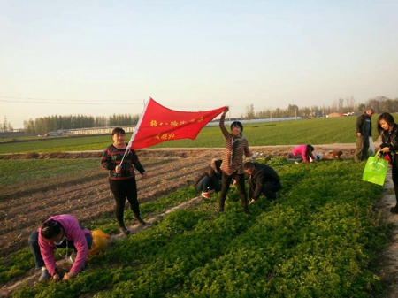 金水区经八路工商联组织商户参观中牟绿色无公害蔬菜基地(图1)