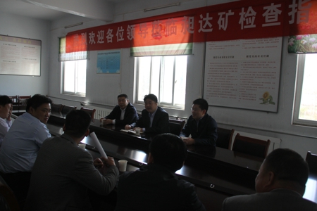 新密市委常委、统战部部长史启新到白寨镇开展综合调研(图1)
