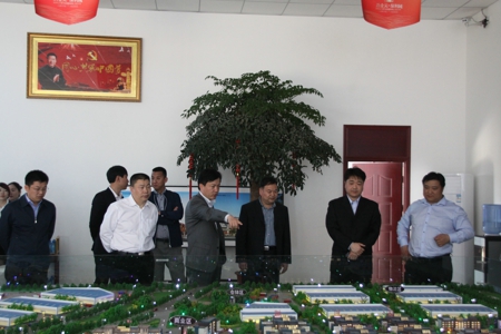 新密市委常委、统战部部长史启新到白寨镇开展综合调研(图3)