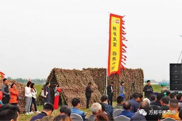 中牟县举行首届河南中牟互联网订单扶贫项目（大蒜）签约仪式(图2)