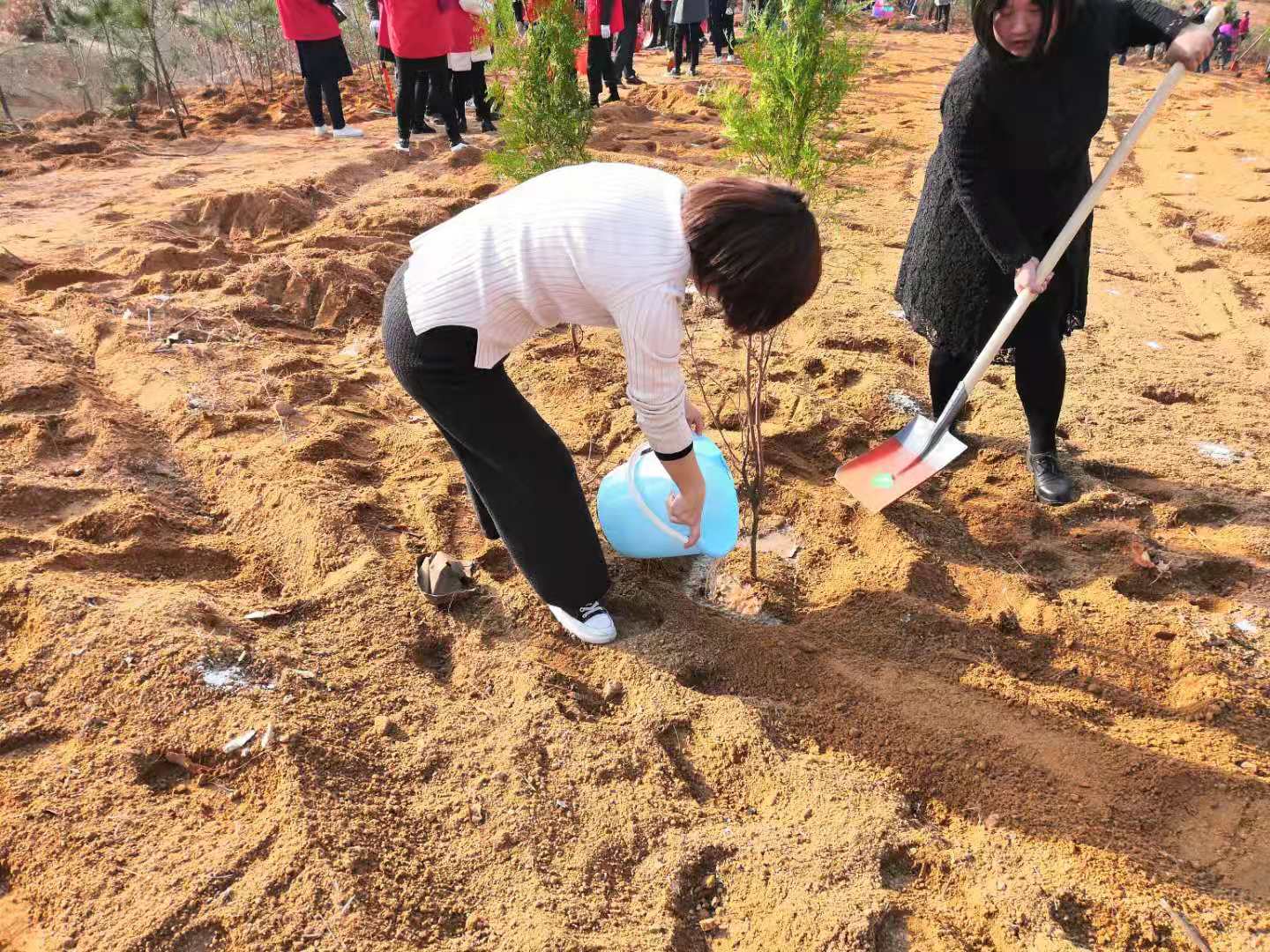 登封市工商联开展2019年度冬季义务植树活动(图1)