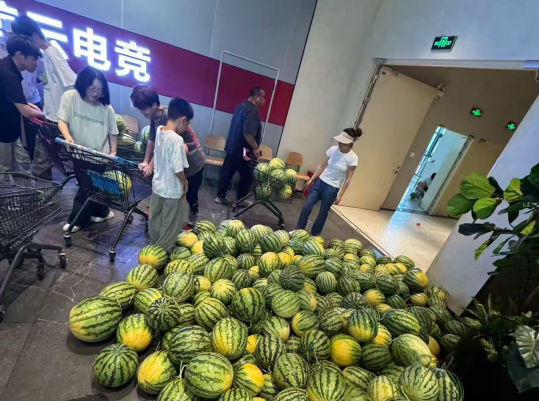 爱心助农 温商行动 郑州市温州商会助力瓜农解决滞销西瓜 50余万斤(图1) 爱心助农 温商行动 郑州市温州商会助力瓜农解决滞销西瓜 50余万斤(图1)
