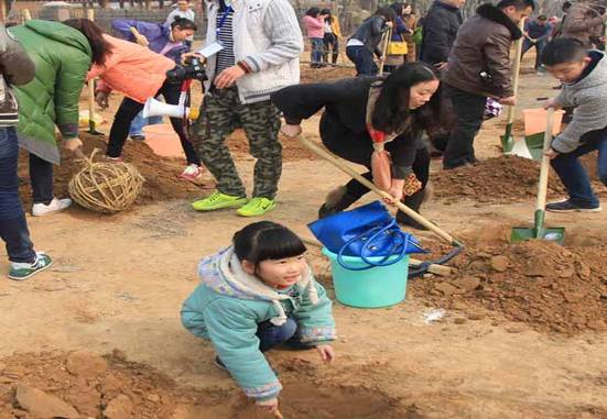 金水区工商联会员企业新田置业成功举办第三次植树节(图2)